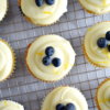 Topview of Lemon Blueberry Cupcakes with Lemon Cream Cheese Frosting and fresh bluebrries on top on a cooling rack.