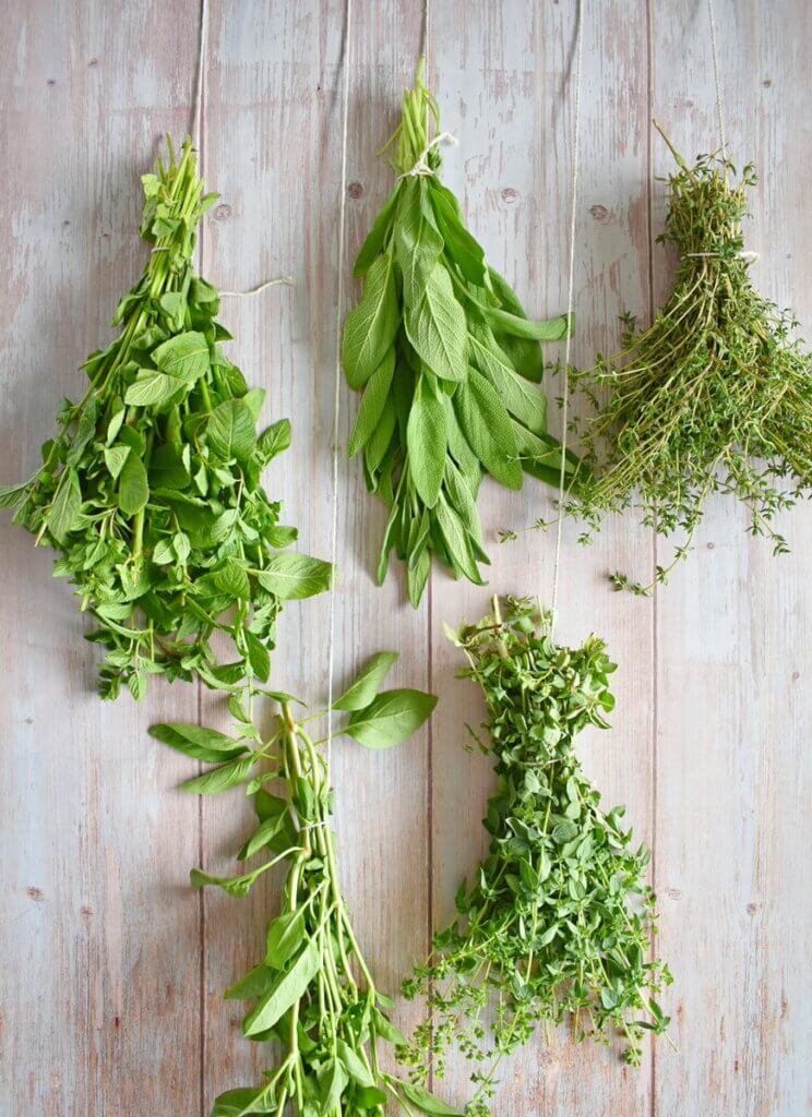 Bunches of fresh herbs tied at the stems and hanging in a shed.