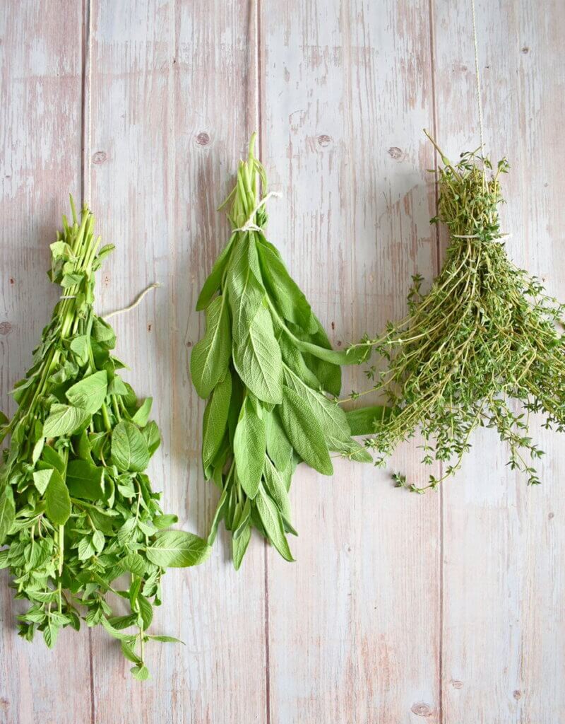 Hanging herbs against a wooden shed wall.