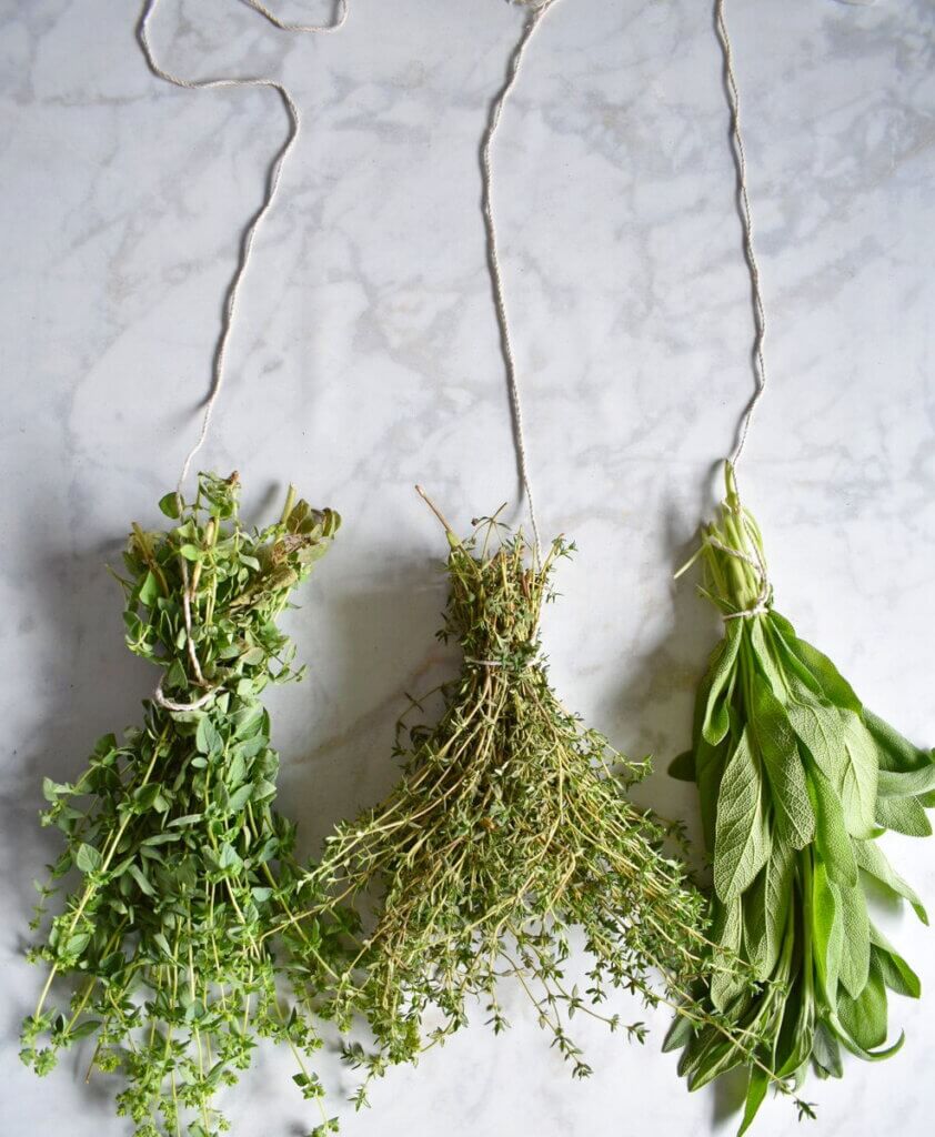 Bunches of herbs tied to a long string of twine.