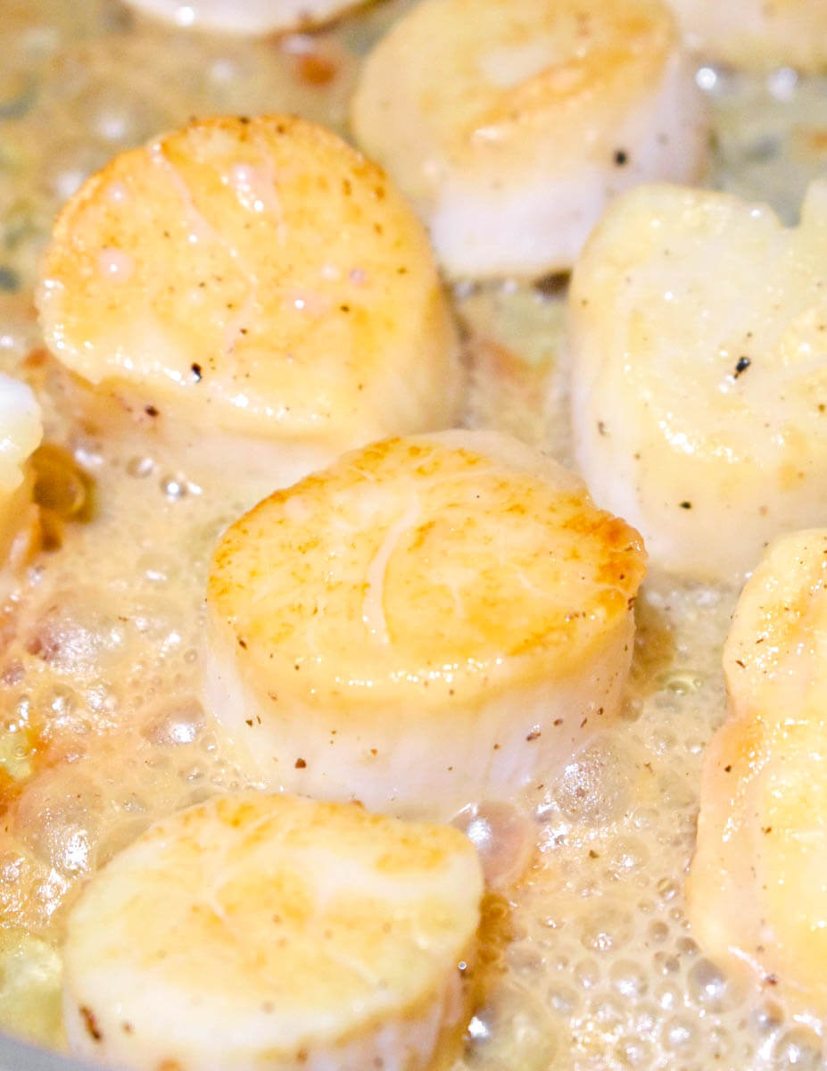 Seared Scallops in a pan