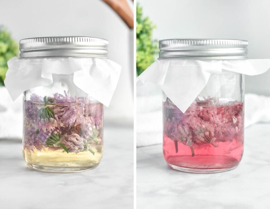 Before and after photos showing chive blossom vinegar when it is first placed in a jar and then after 2 weeks when it is bright pink in colour.