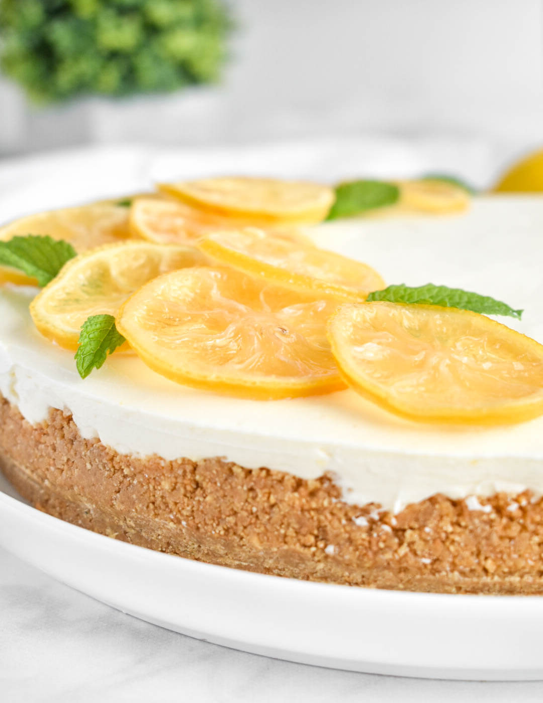 No Bake Lemon Cheesecake topped with candied lemon slices and mint leaves.