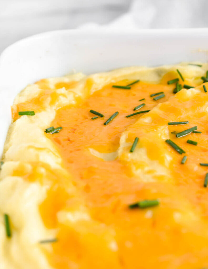 Closeup of melted cheese on top of a bed of mashed potatoes.