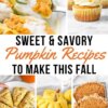 A photo collage of pumpkin recipes including stuffed pumpkin shells, cupcakes, scones, pumpkin shaped dinner rolls and pumpkin streusel bread with the text overlay "Sweet and Savory Pumpkin Recipes to Make This Fall"