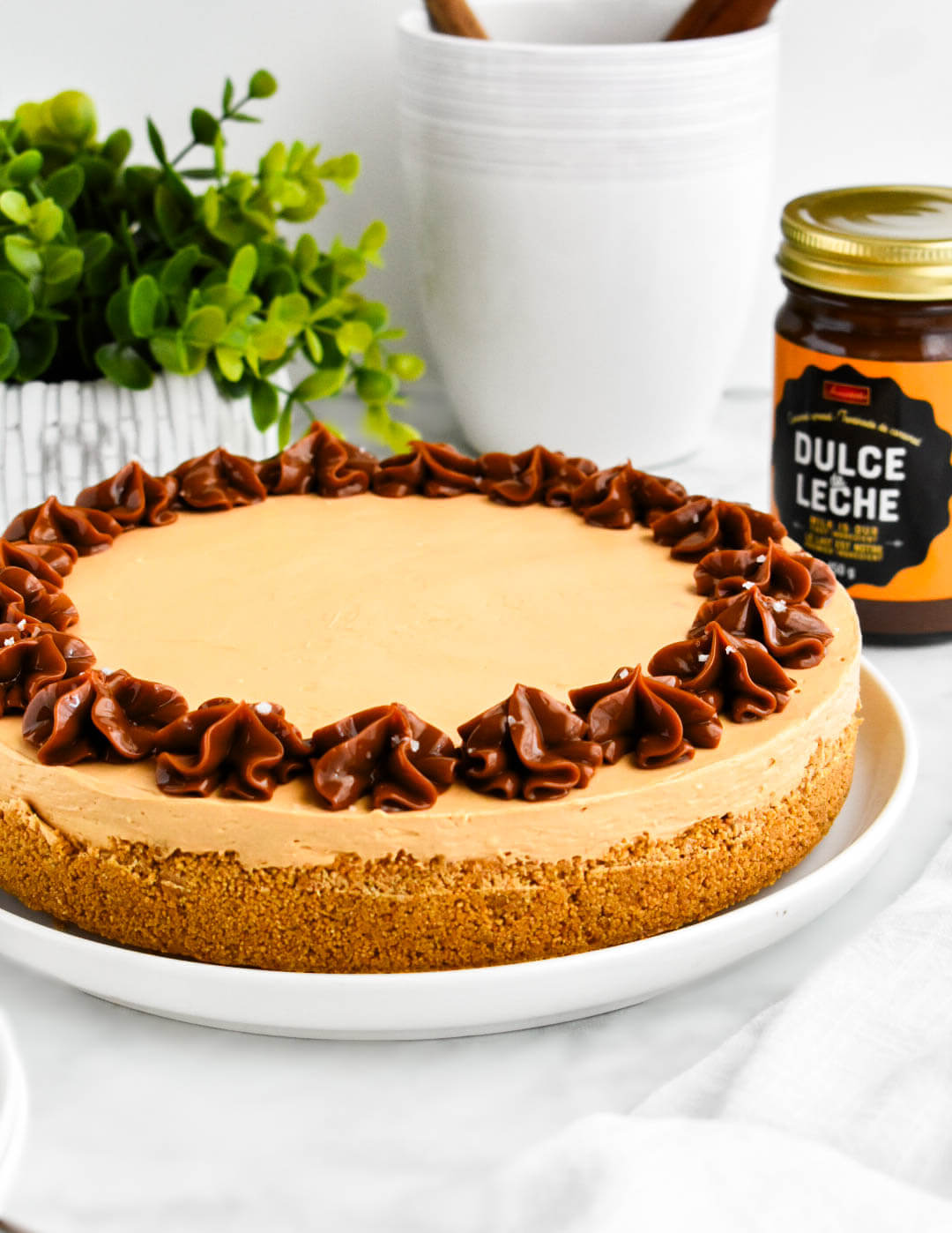 No bake dulce de leche cheesecake decorated with dollops of piped dulce de leche.